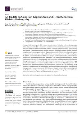 An Update on Connexin Gap Junction and Hemichannels in Diabetic Retinopathy