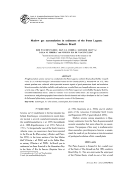 Shallow Gas Accumulation in Sediments of the Patos Lagoon, Southern Brazil