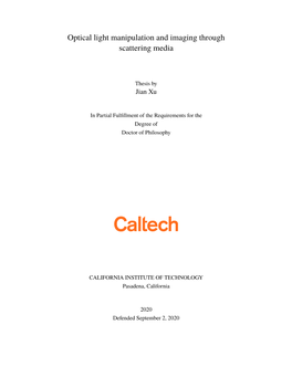 Optical Light Manipulation and Imaging Through Scattering Media