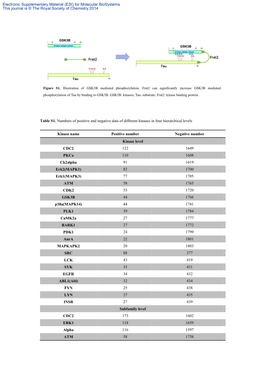 Table S1. Numbers of Positive and Negative Data of Different Kinases in Four Hierarchical Levels