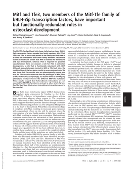 Mitf and Tfe3, Two Members of the Mitf-Tfe Family of Bhlh-Zip Transcription Factors, Have Important but Functionally Redundant Roles in Osteoclast Development