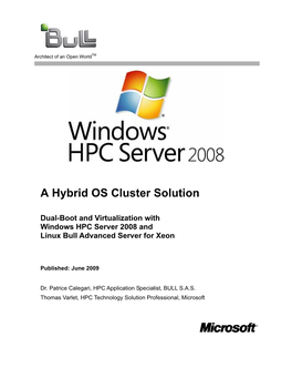 A Hybrid OS Cluster Solution
