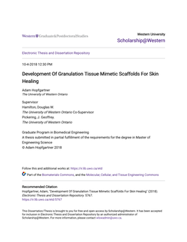 Development of Granulation Tissue Mimetic Scaffolds for Skin Healing