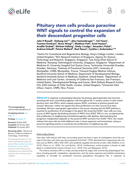 Pituitary Stem Cells Produce Paracrine WNT Signals to Control The