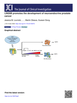 LIN28B Promotes the Development of Neuroendocrine Prostate Cancer