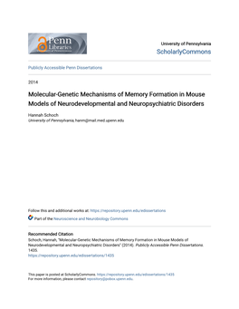 Molecular-Genetic Mechanisms of Memory Formation in Mouse Models of Neurodevelopmental and Neuropsychiatric Disorders