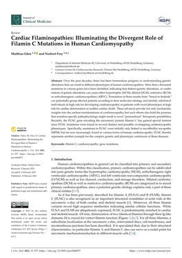 Illuminating the Divergent Role of Filamin C Mutations in Human Cardiomyopathy