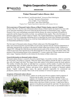 Walnut Thousand Cankers Disease Alert