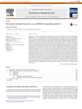 Dystrophin Complex Functions As a Scaffold for Signalling Proteins☆