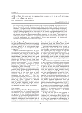 A Brazilian Merganser Mergus Octosetaceus Nest in a Rock Crevice, with Reproductive Notes Ivana Reis Lamas and Jean Pierre Santos Cotinga 22 (2004): 38–41