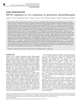 HUS1 Regulates in Vivo Responses to Genotoxic Chemotherapies