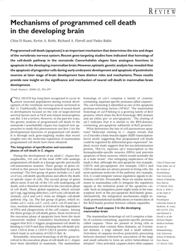 Mechanisms of Programmed Cell Death in the Developing Brain