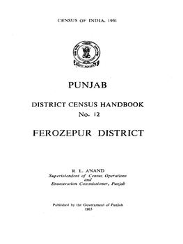 Ferozepur District, No-12, Punjab