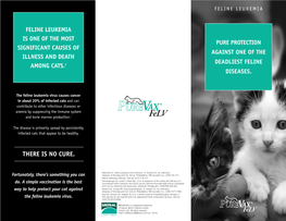 Feline Leukemia Brochure