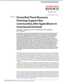 Diversified Floral Resource Plantings Support Bee Communities After