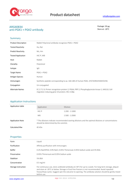 Anti-PGK1 + PGK2 Antibody (ARG40834)