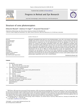 Structure of Cone Photoreceptors