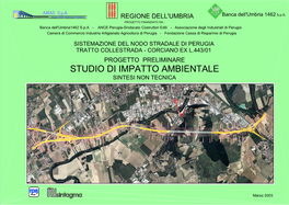 Studio Di Impatto Ambientale Sintesi Non Tecnica