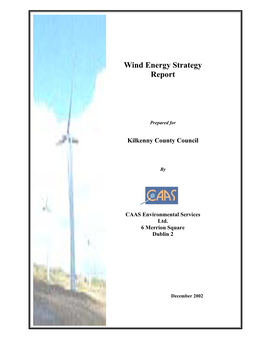 Wind Energy Strategy Report