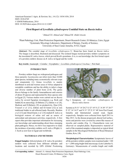 First Report of Leveillula Cylindrospora Conidial State on Bassia Indica