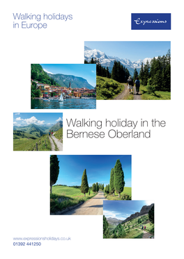 Walking Holiday in the Bernese Oberland.Indd