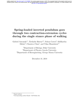 Spring-Loaded Inverted Pendulum Goes Through Two Contraction-Extension Cycles During the Single Stance Phase of Walking