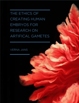 Thesis Verna Jans Final Draft 260816.Pdf