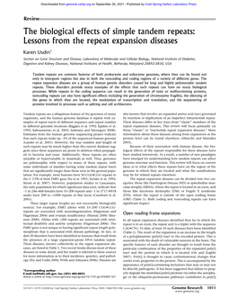 The Biological Effects of Simple Tandem Repeats: Lessons from the Repeat Expansion Diseases