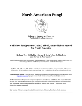 Calicium Denigratum (Vain.) Tibell, a New Lichen Record for North America