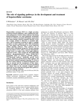 The Role of Signaling Pathways in the Development and Treatment of Hepatocellular Carcinoma