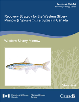 Recovery Strategy for the Western Silvery Minnow (Hybognathus Argyritis) in Canada