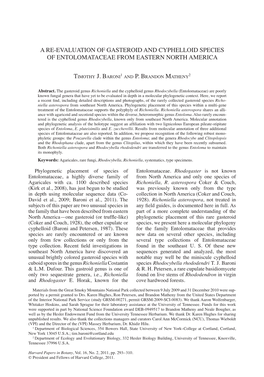 A Re-Evaluation of Gasteroid and Cyphelloid Species of Entolomataceae from Eastern North America