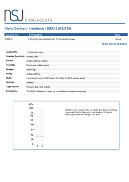 Alpha Defensin 1 Antibody / DEFA1 (R32739)