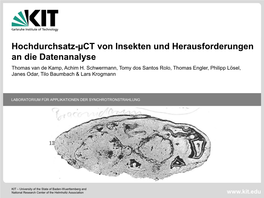 Tomography and Online Reconstruction