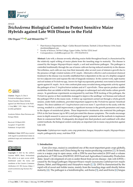 Trichoderma Biological Control to Protect Sensitive Maize Hybrids Against Late Wilt Disease in the Field