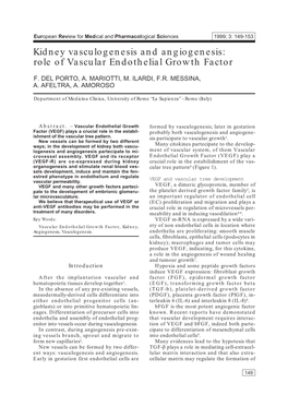 Kidney Vasculogenesis and Angiogenesis: Role of Vascular Endothelial Growth Factor