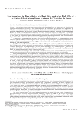 Les Formations Du Lias Inférieur Du Haut Atlas Central De Rich