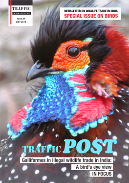 TRAFFIC POST Galliformes in Illegal Wildlife Trade in India: a Bird's Eye View in FOCUS TRAFFIC Post