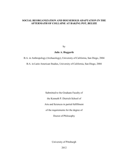 Social Reorganization and Household Adaptation in the Aftermath of Collapse at Baking Pot, Belize