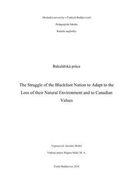 The Struggle of the Blackfoot Nation to Adapt to the Loss of Their Natural Environment and to Canadian Values