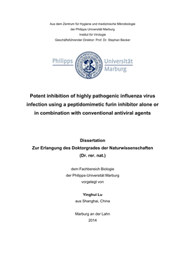 Potent Inhibition of Highly Pathogenic Influenza Virus Infection Using a Peptidomimetic Furin Inhibitor Alone Or in Combination with Conventional Antiviral Agents