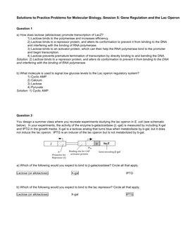 Solutions for Practice Problems for Molecular Biology, Session 5