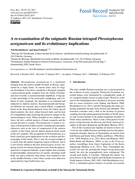 A Re-Examination of the Enigmatic Russian Tetrapod Phreatophasma Aenigmaticum and Its Evolutionary Implications