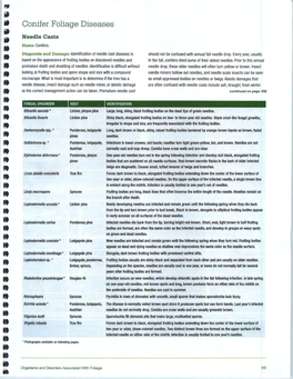 Conifer Foliage Diseases Needle Casts Hosts: Conifers