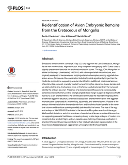 Reidentification of Avian Embryonic Remains from the Cretaceous of Mongolia