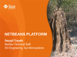 Netbeans Platform