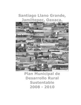 Santiago Llano Grande, Jamiltepec, Oaxaca. Plan Municipal De