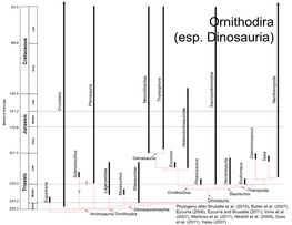 104Ornithodiraphyl