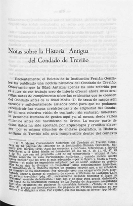 Notas Sobre La Historia Antigua Del Condado De Trevifio