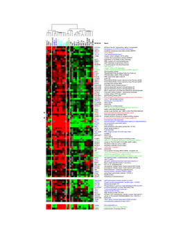 Atpase, Na+/K+ Transporting, Alpha 3 Polypeptide Homologous to 3'UTR